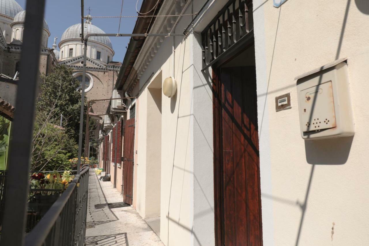 Om Plus Santa Giustina Padova Exteriér fotografie
